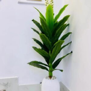 img 20260501 wa0033